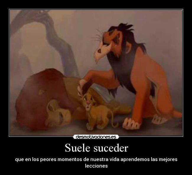 Suele suceder - 