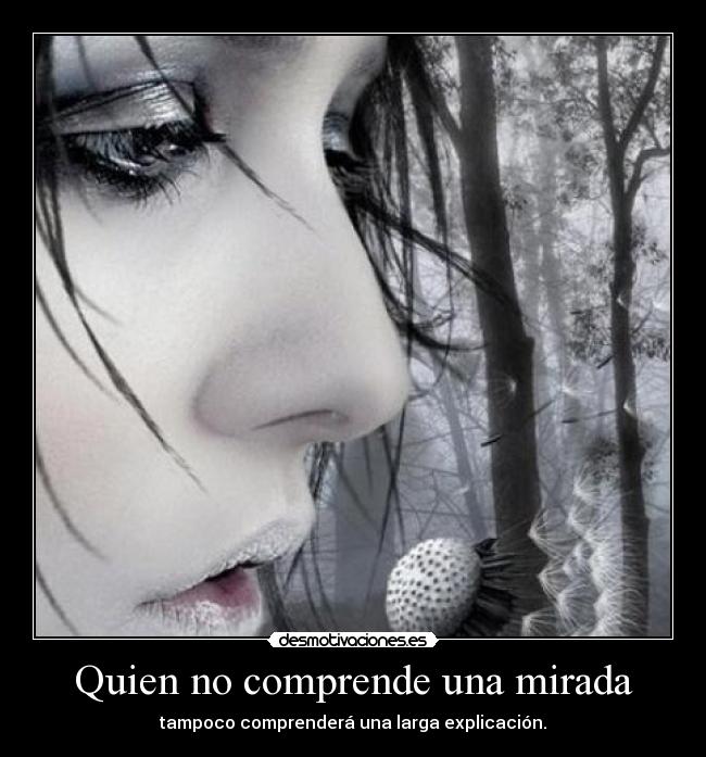 Quien no comprende una mirada - 