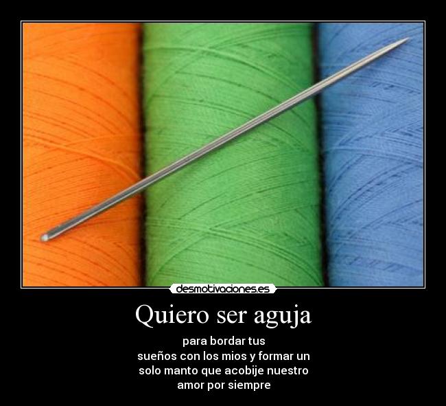 Quiero ser aguja - 