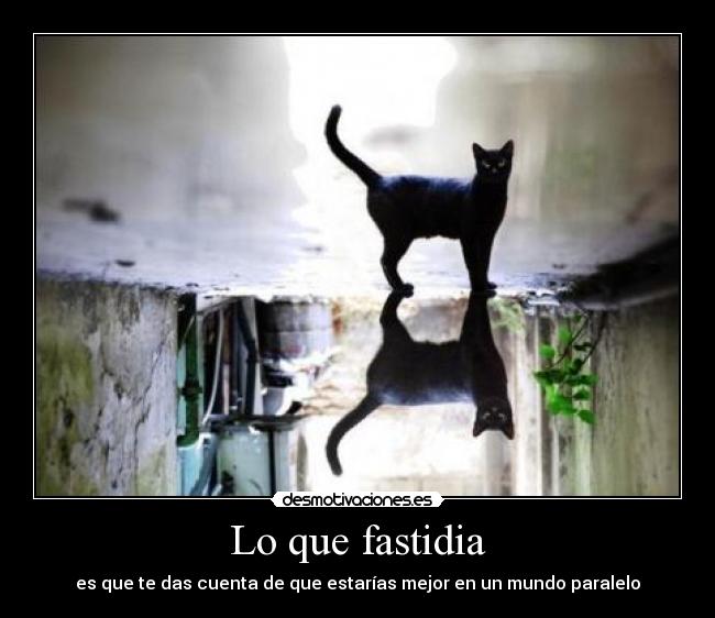 Lo que fastidia - es que te das cuenta de que estarías mejor en un mundo paralelo