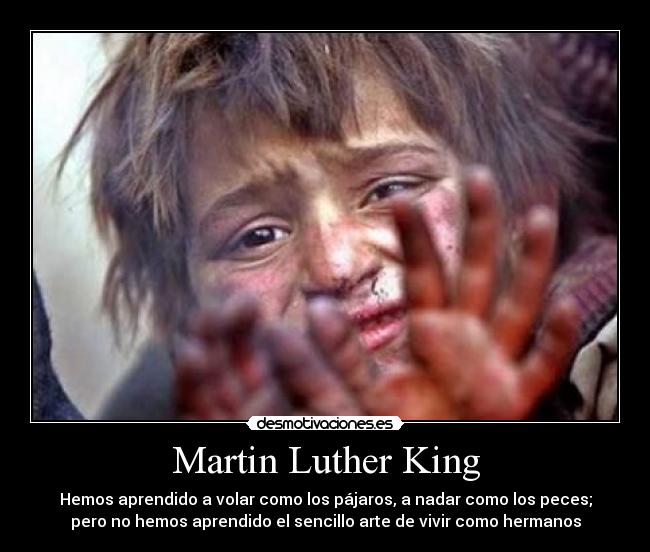 Martin Luther King - Hemos aprendido a volar como los pájaros, a nadar como los peces;
pero no hemos aprendido el sencillo arte de vivir como hermanos