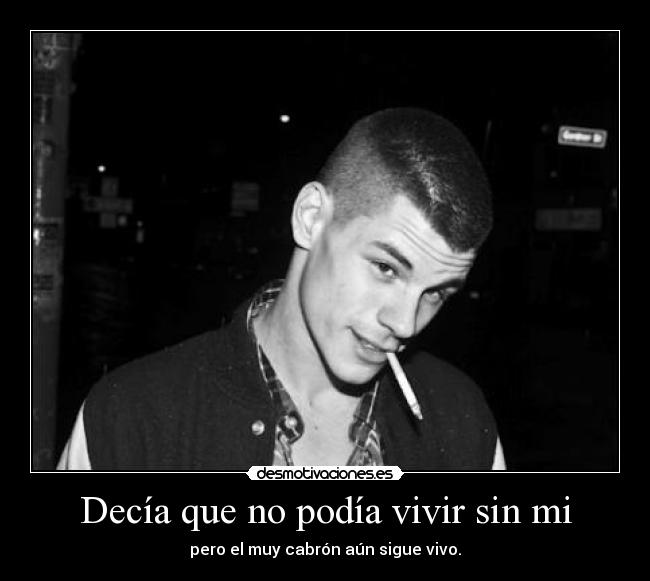 carteles ais ais ais ais ais ais ais ais desmotivaciones