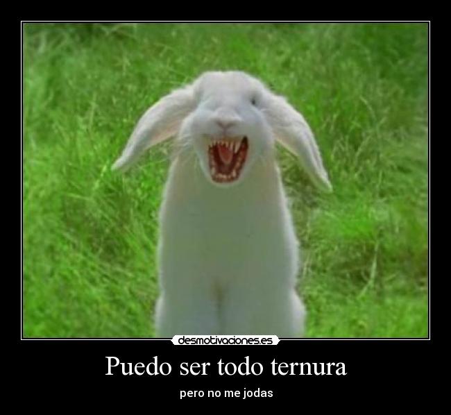 Puedo ser todo ternura - pero no me jodas