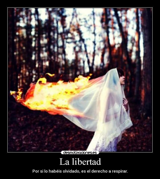 La libertad - Por si lo habéis olvidado, es el derecho a respirar.