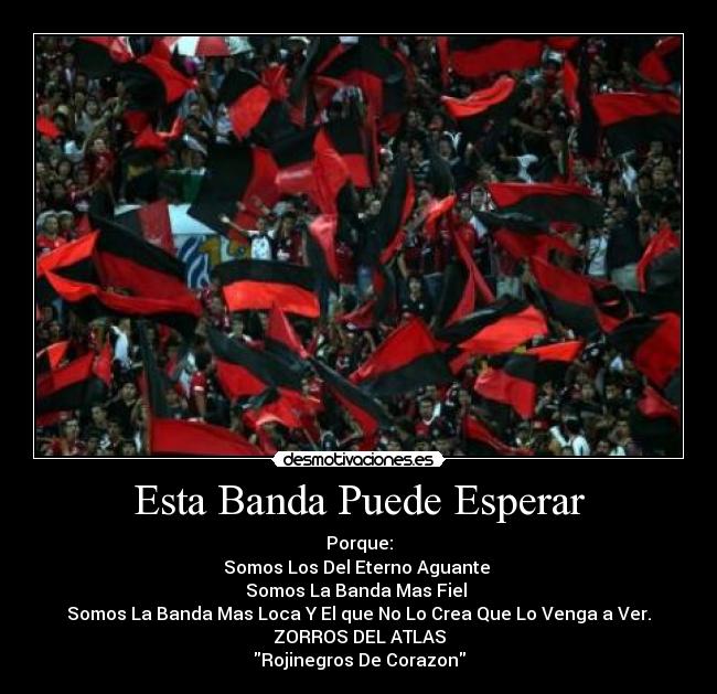 carteles venga zorros desmotivaciones