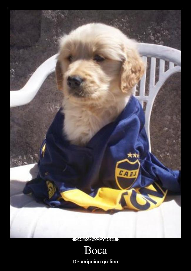 carteles boca bolivia desmotivaciones