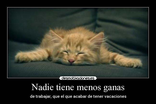 Nadie tiene menos ganas - 