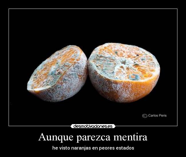 carteles mentira cristina desmotivaciones