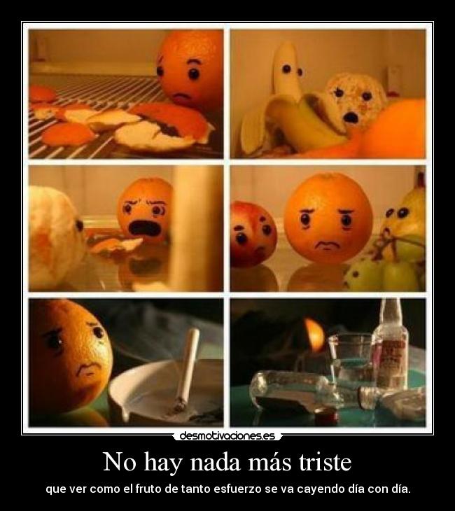 No hay nada más triste - que ver como el fruto de tanto esfuerzo se va cayendo día con día.
