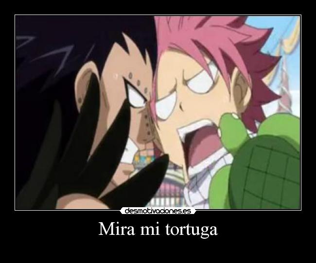 carteles anime fairy tail tortuga natsu desmotivaciones