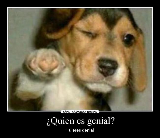 ¿Quien es genial? - Tu eres genial
