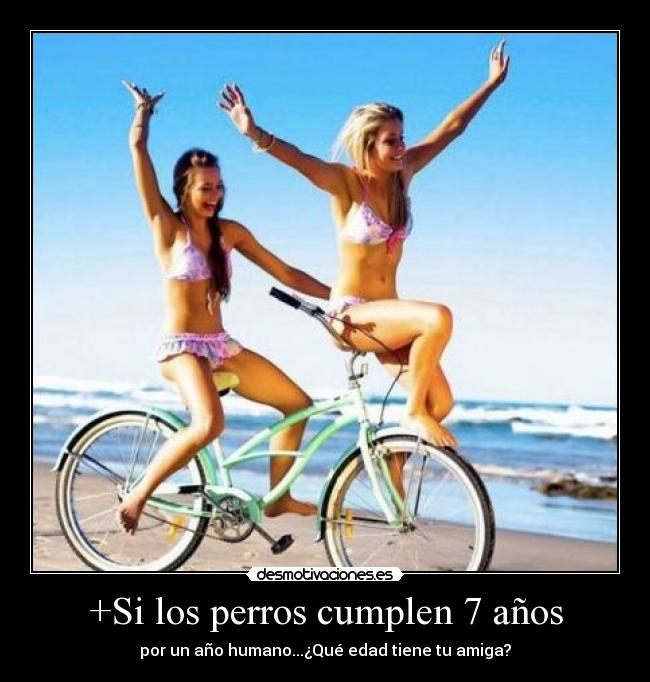 +Si los perros cumplen 7 años - 