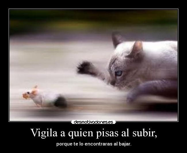Vigila a quien pisas al subir, -