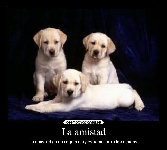 La amistad - la amistad es un regalo muy espesial para los amigos