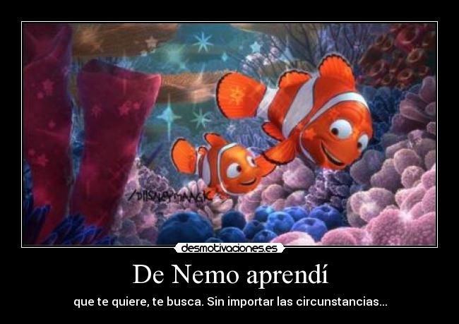 De Nemo aprendí -