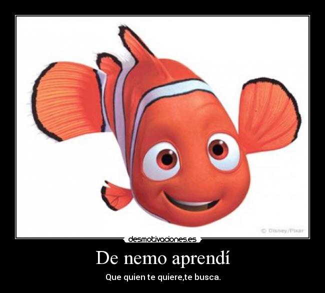 De nemo aprendí - Que quien te quiere,te busca.