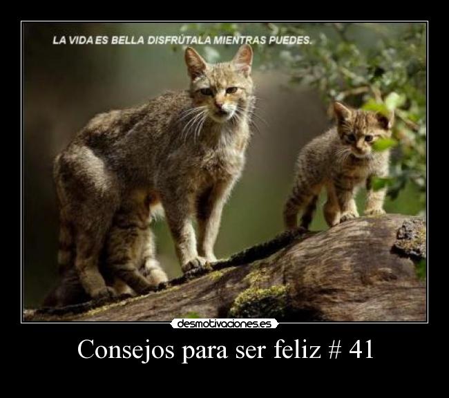 carteles desmotivaciones
