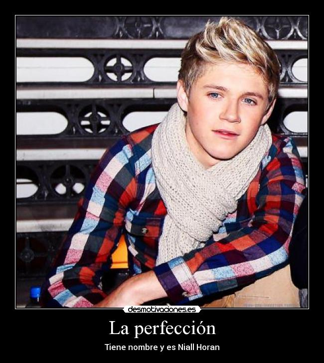 La perfección - Tiene nombre y es Niall Horan