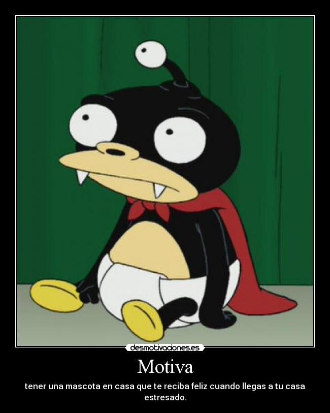 Motiva - tener una mascota en casa que te reciba feliz cuando llegas a tu casa estresado.