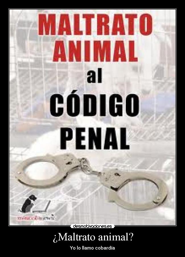 ¿Maltrato animal? - Yo lo llamo cobardía