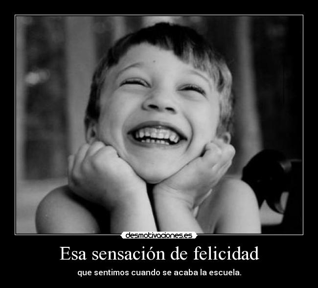 carteles felicidad por fin acaban las clases todoo veranooo para hacer nadaa desmotivaciones