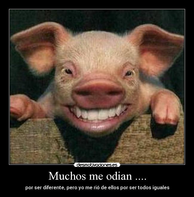 Muchos me odian .... - por ser diferente, pero yo me rió de ellos por ser todos iguales
