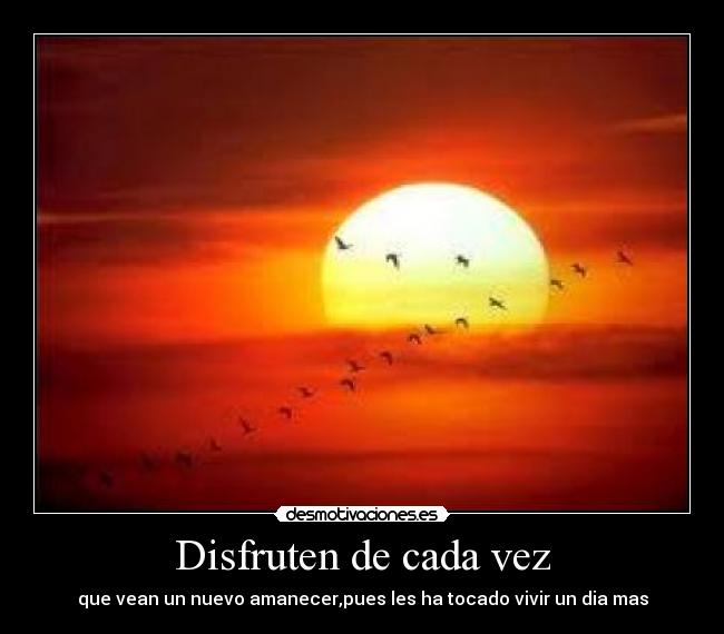 Disfruten de cada vez - que vean un nuevo amanecer,pues les ha tocado vivir un dia mas