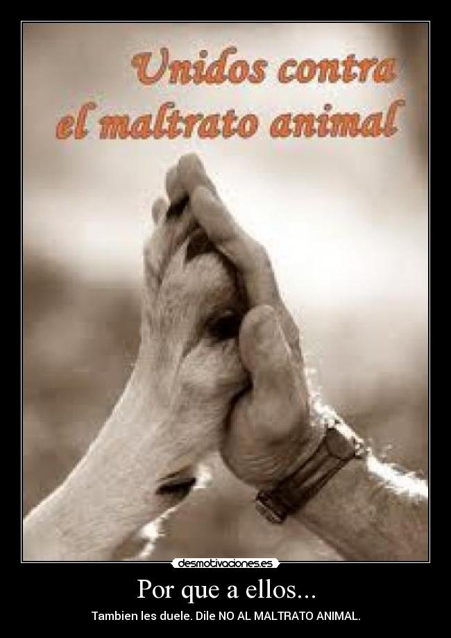 Por que a ellos... -