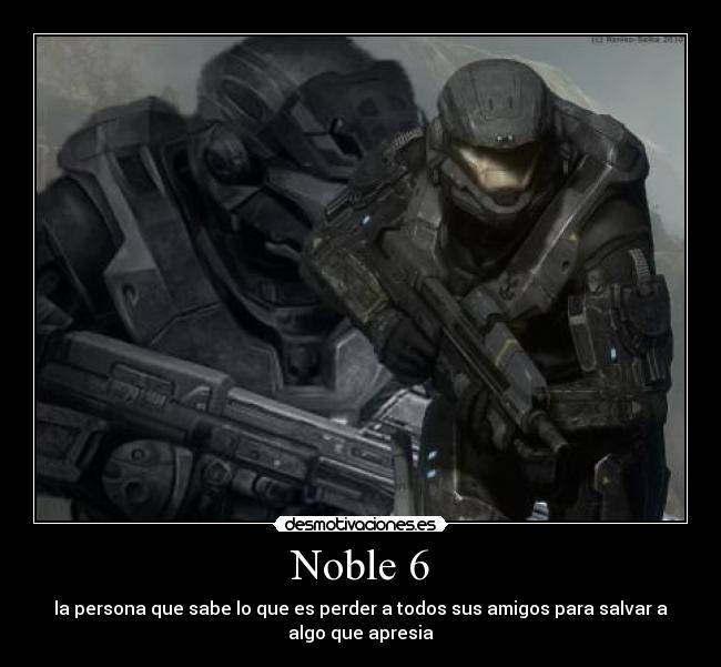 Noble 6 -