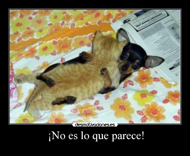 ¡No es lo que parece! -