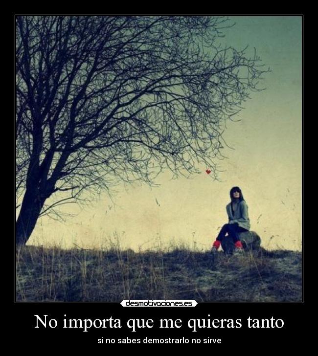 No importa que me quieras tanto -