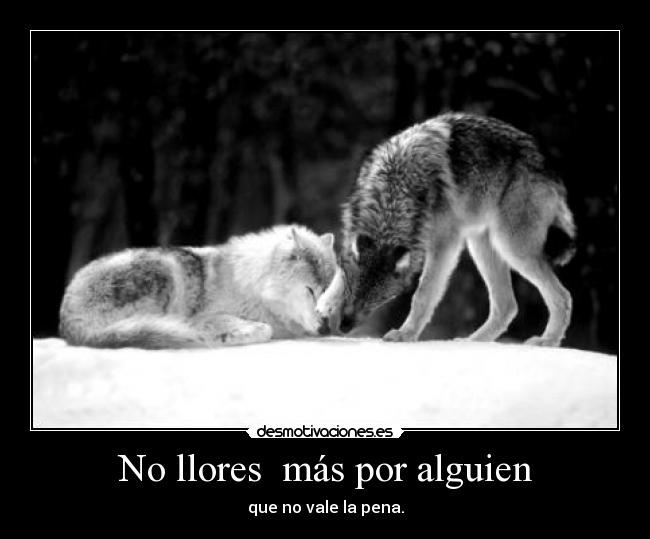 No llores más por alguien -