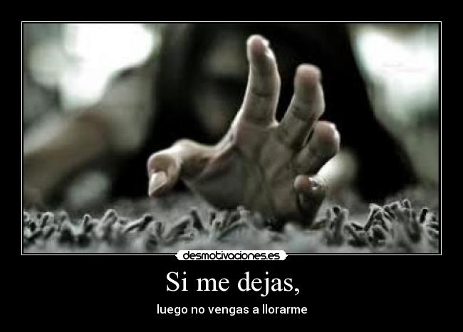 Si me dejas, - luego no vengas a llorarme