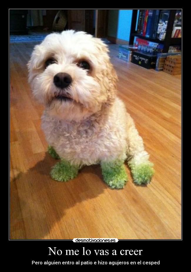 No me lo vas a creer -