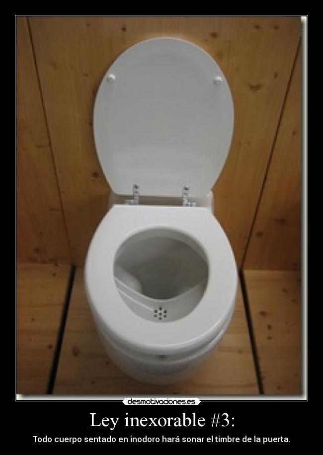 Ley inexorable #3: - Todo cuerpo sentado en inodoro hará sonar el timbre de la puerta.