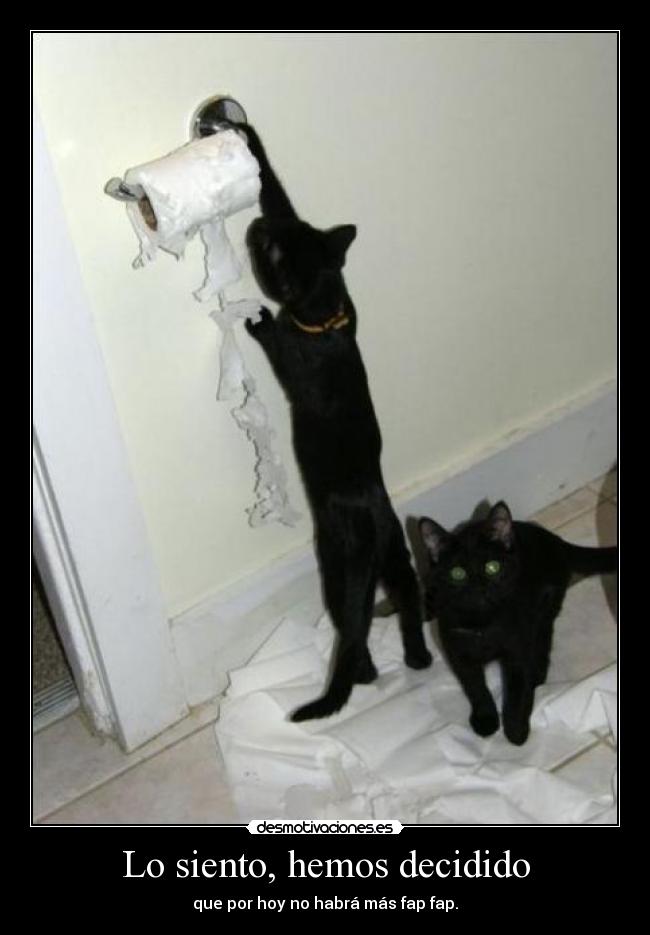 Lo siento, hemos decidido - 