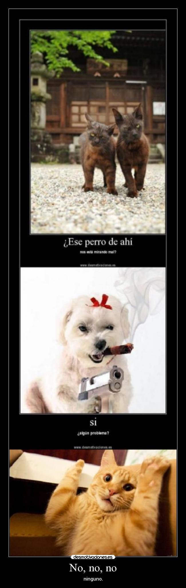 No, no, no - ninguno.