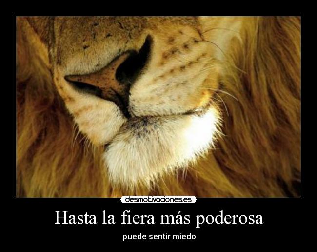 Hasta la fiera más poderosa - 
