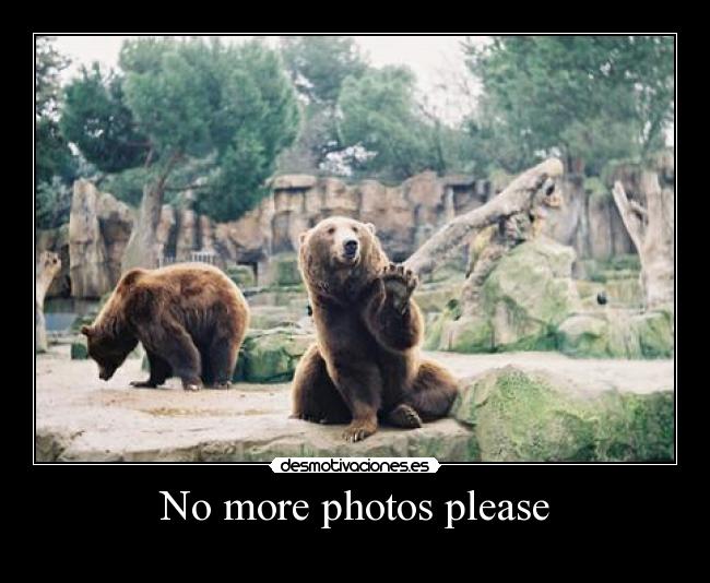 No more photos please - 