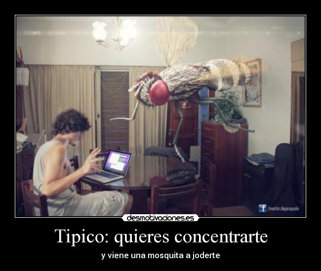 Tipico: quieres concentrarte - 