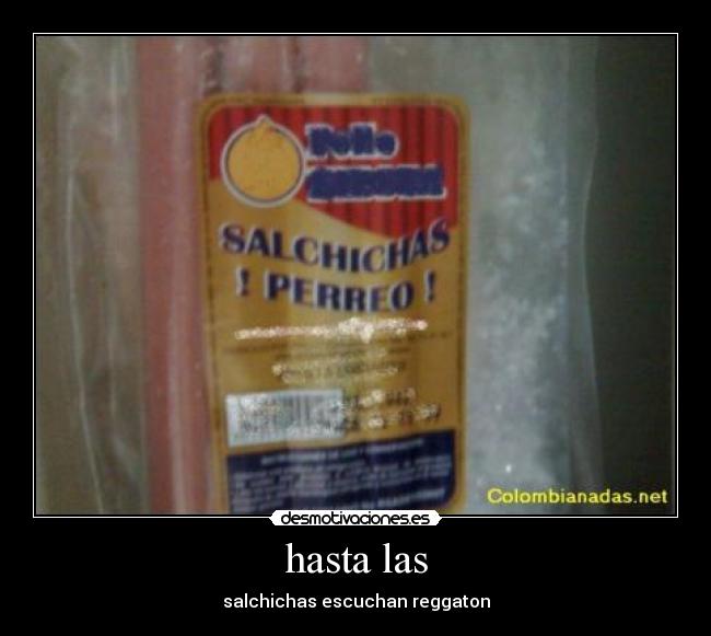 hasta las - salchichas escuchan reggaton
