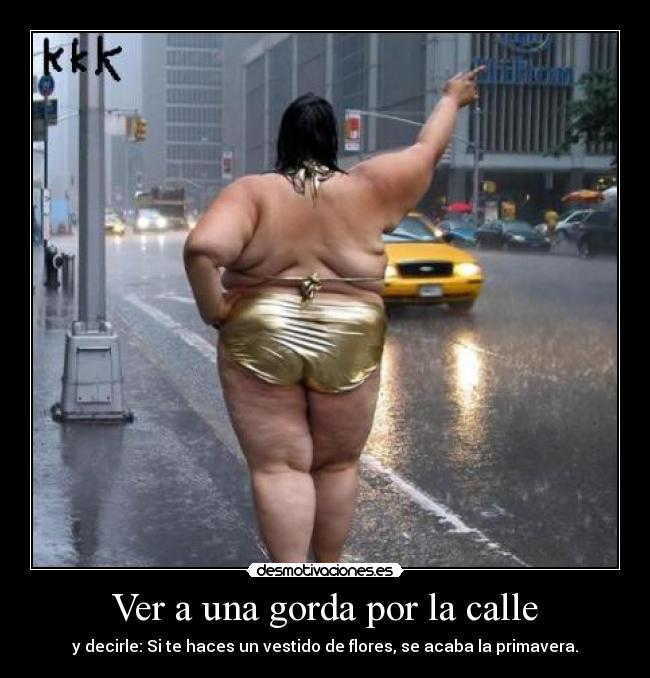 Ver a una gorda por la calle - 