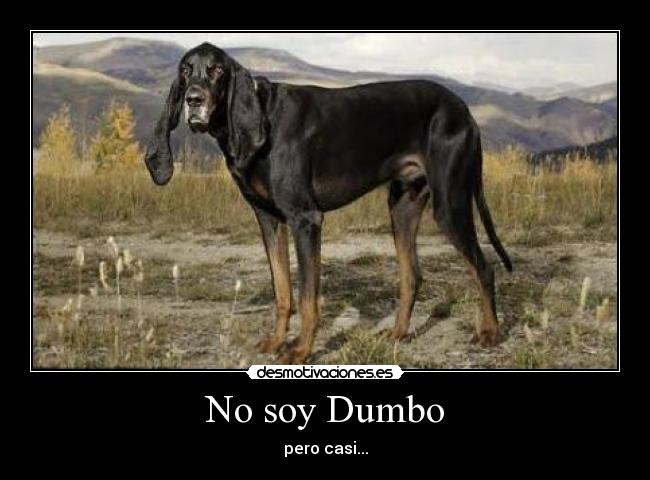 No soy Dumbo - pero casi...