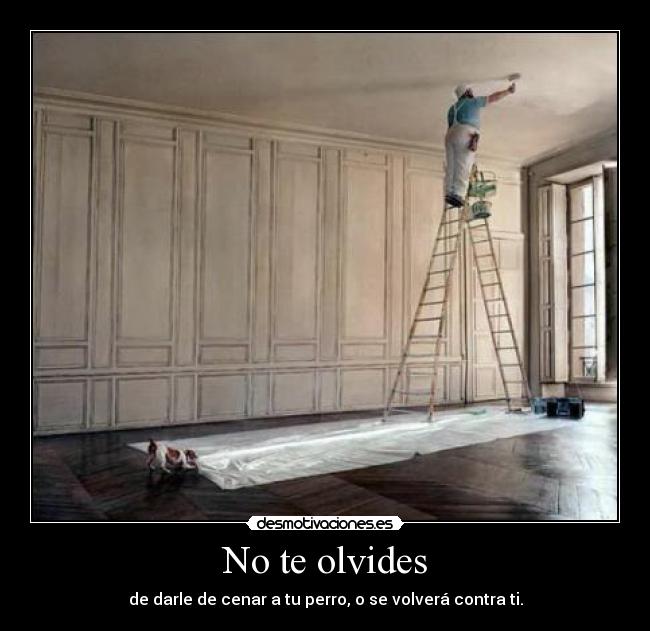 No te olvides - de darle de cenar a tu perro, o se volverá contra ti.