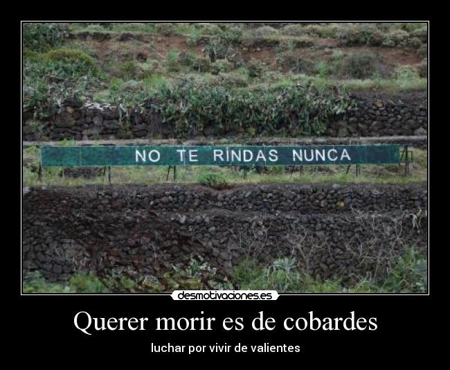 Querer morir es de cobardes - luchar por vivir de valientes
