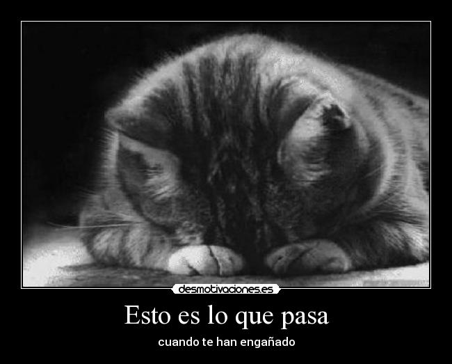 Esto es lo que pasa - cuando te han engañado
