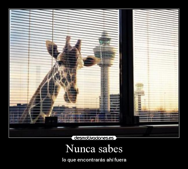 Nunca sabes - 