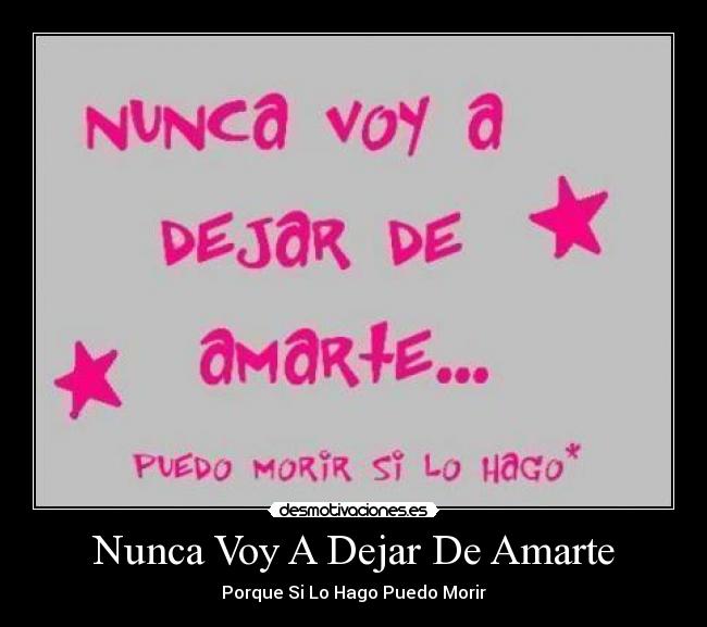 Nunca Voy A Dejar De Amarte - Porque Si Lo Hago Puedo Morir