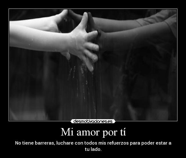 Mi amor por tí -