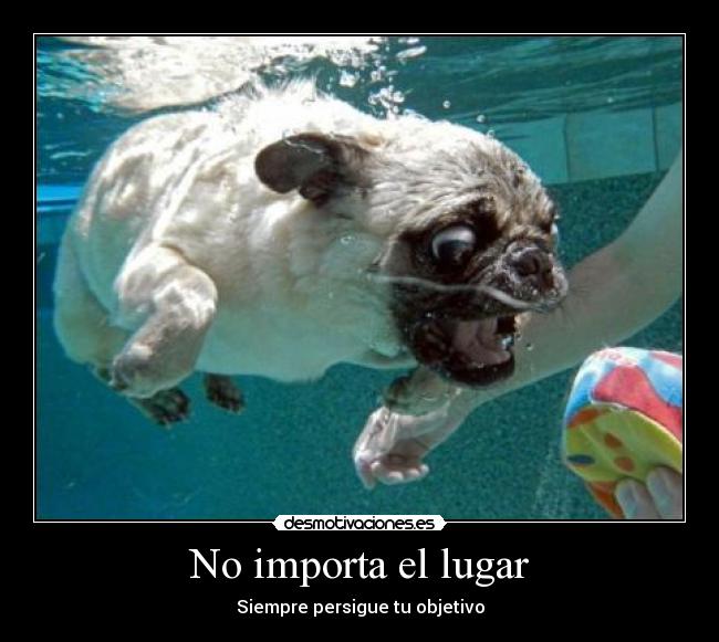 No importa el lugar - 